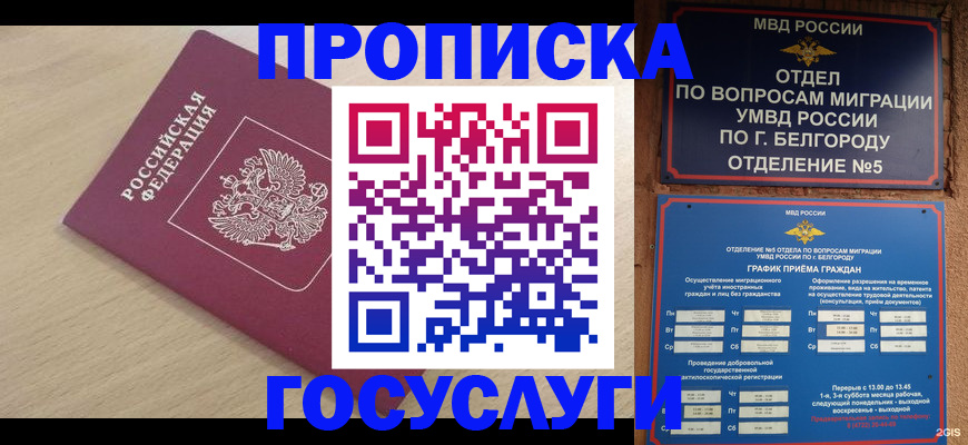 прописка законно в Питкяранте